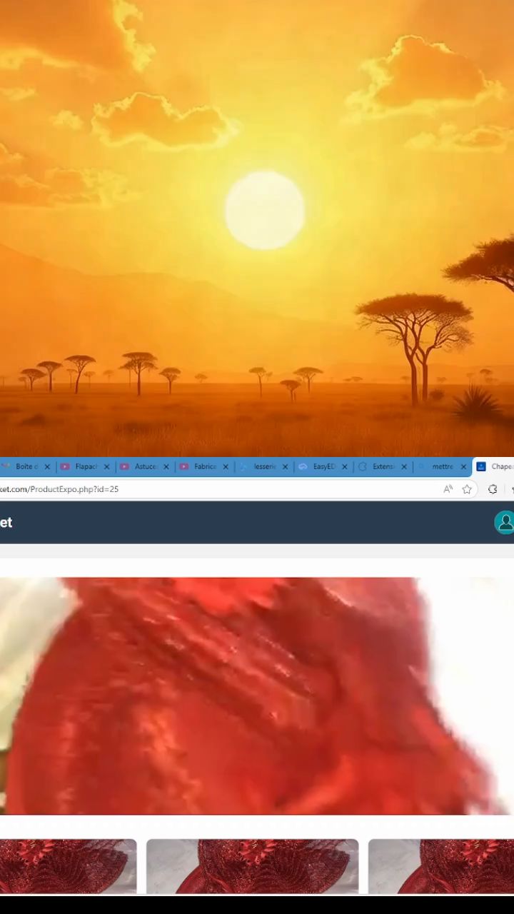 Soutenez le projet africain sur The Global Market