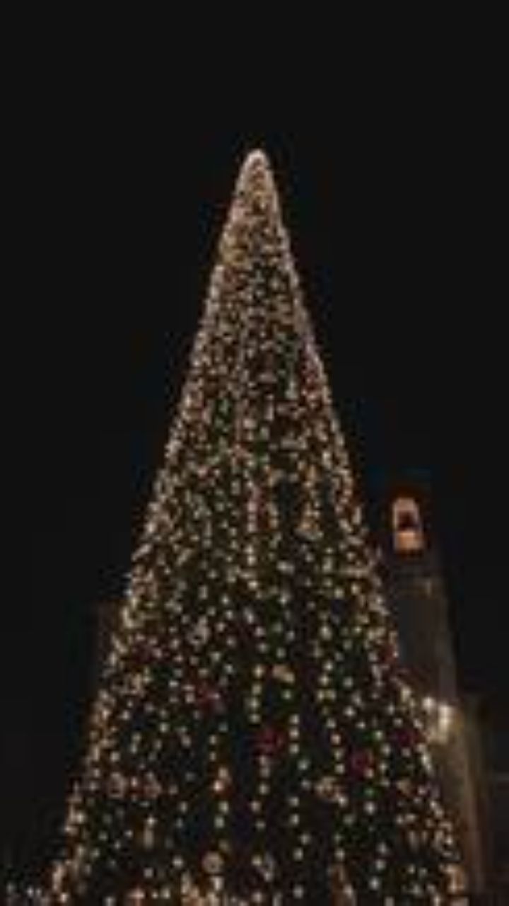 A Very Special Christmas