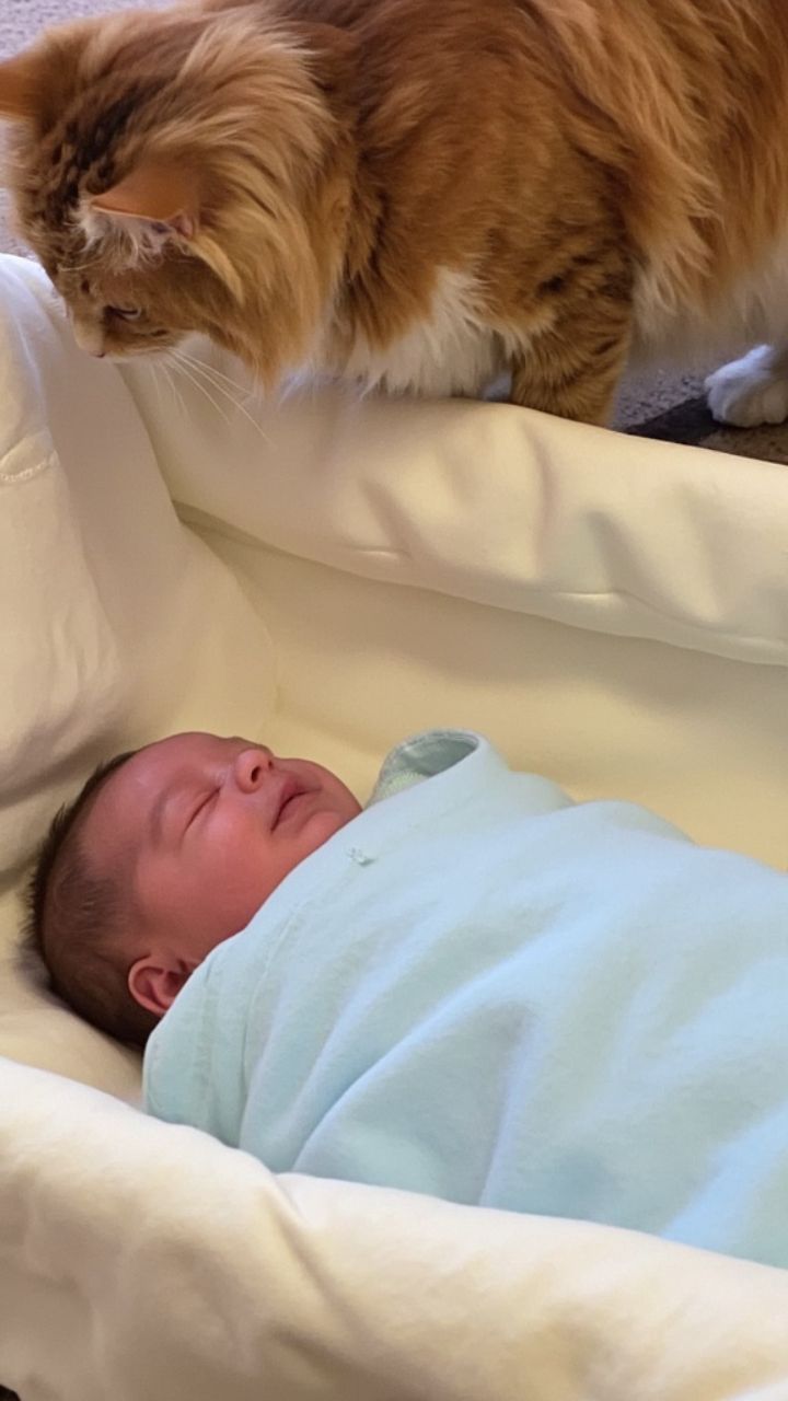 Deux âmes, une seule tendresse