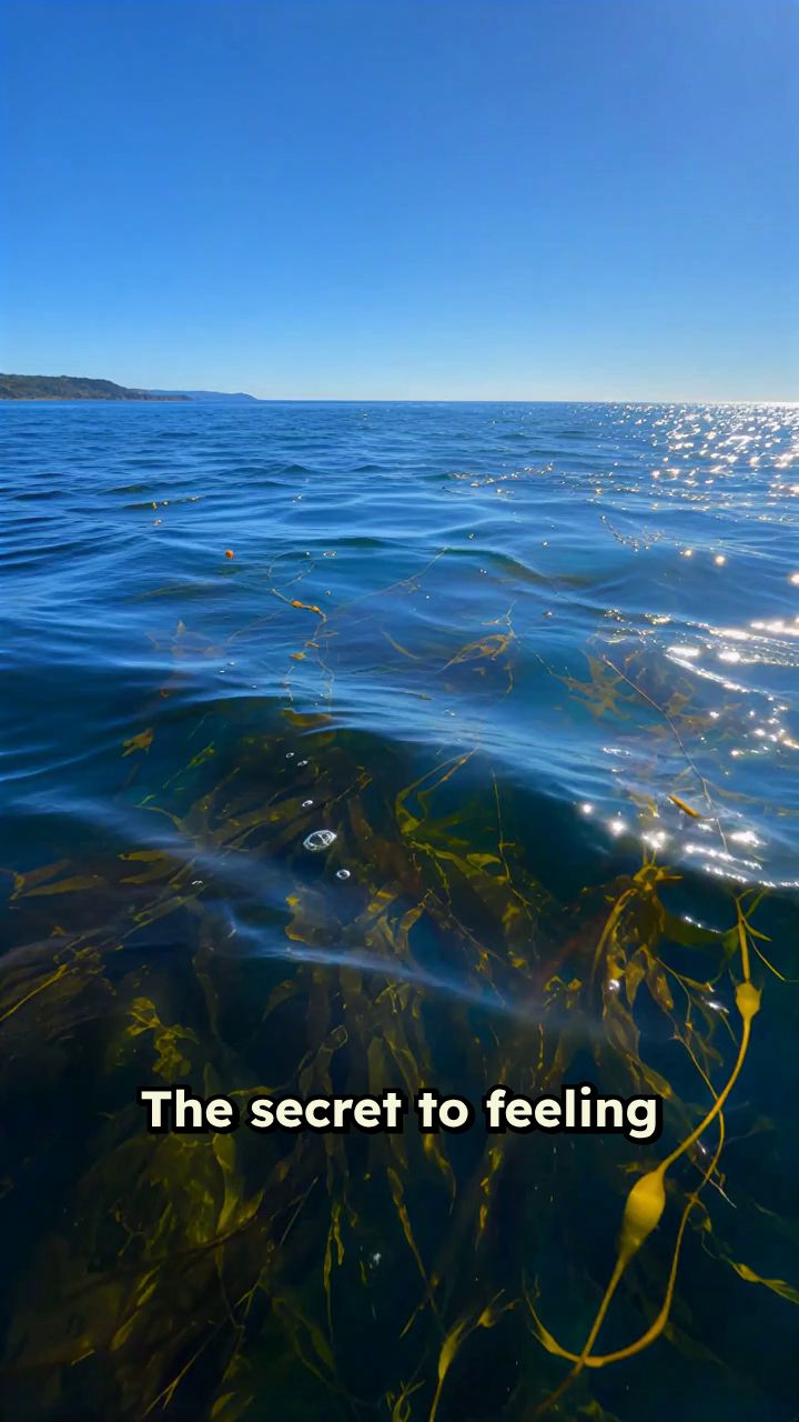 Z-Radical Daily Ocean Wellness