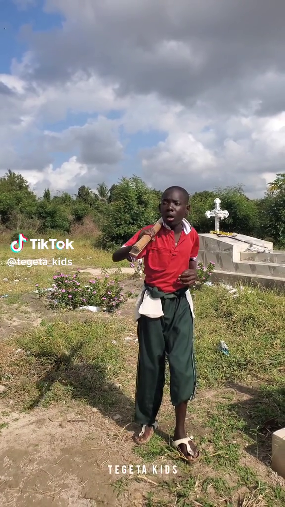 TikTok video: Viviano challeng ✅️ . . . #trendingvideo #viralvideos #trendingsong #vira #govir