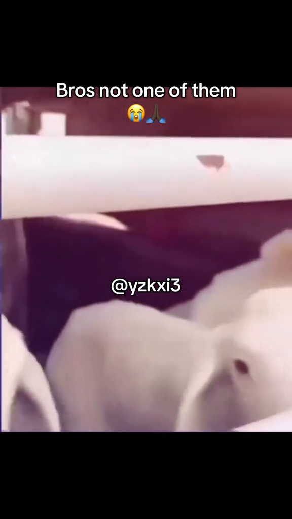 TikTok video: Bro really thought 😭#yzkxi3 #meme