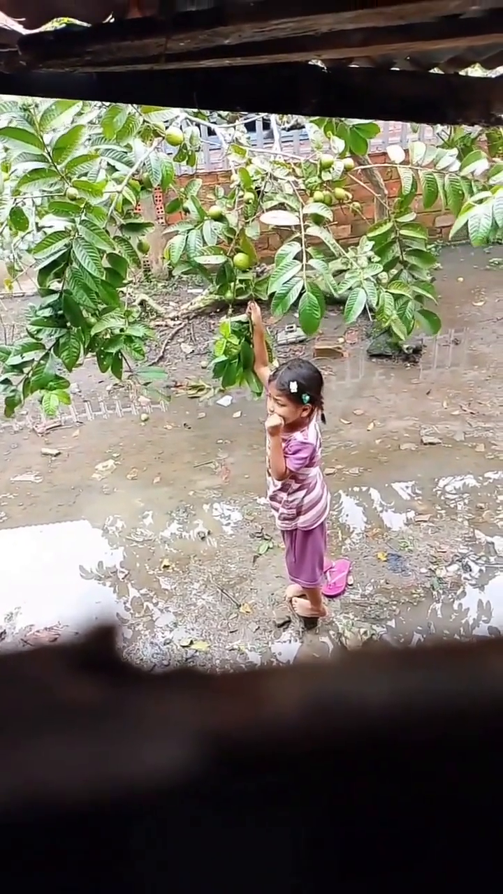 TikTok video: #BalliBotMogis #TrendingReels #TrendingReels #Foryoupage ##FYP #FYP #ViralTikTok