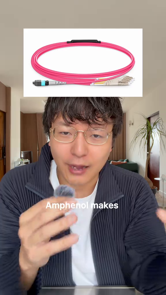 TikTok by @rainy.yaps: 3 stocks I'll be holding for the next 5 years, because without them, your AI models don't 
