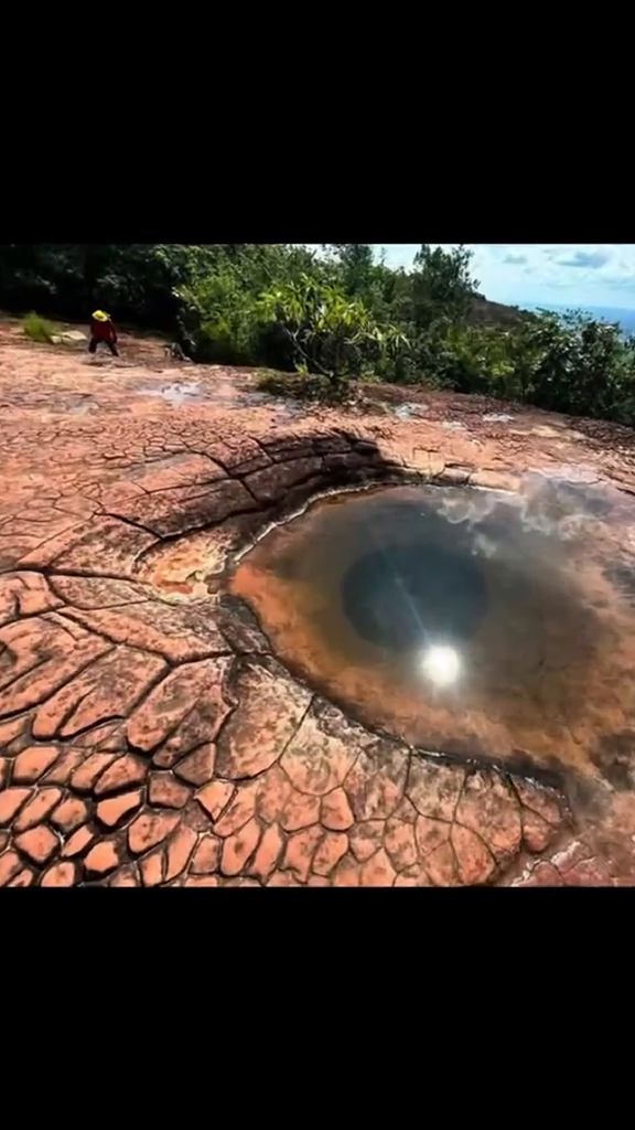 TikTok by @williams.clues: Why do these rocks look like living things?