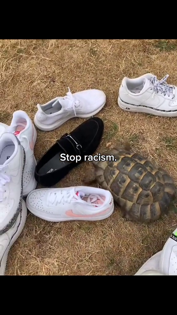 TikTok by @vanito286: #stopracism #endracism #socialissues #unity #learnontiktok