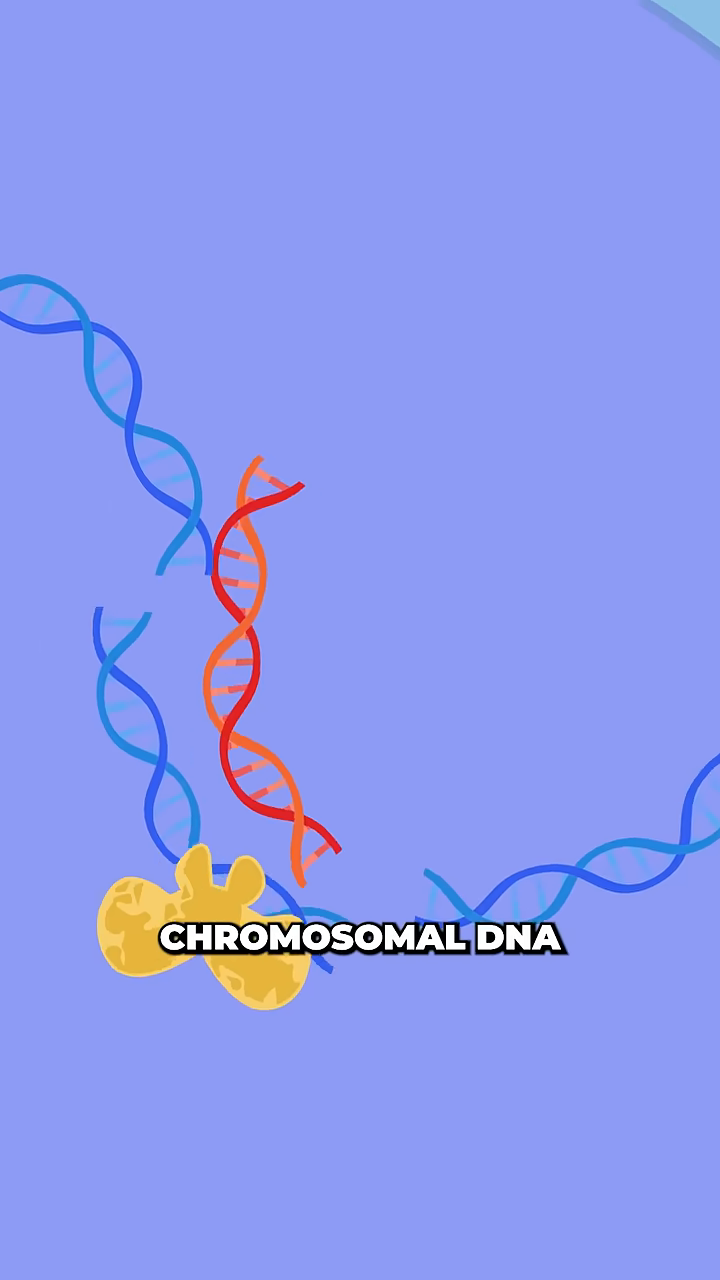 TikTok video: Scientists Create 100% Effective HIV Treatment